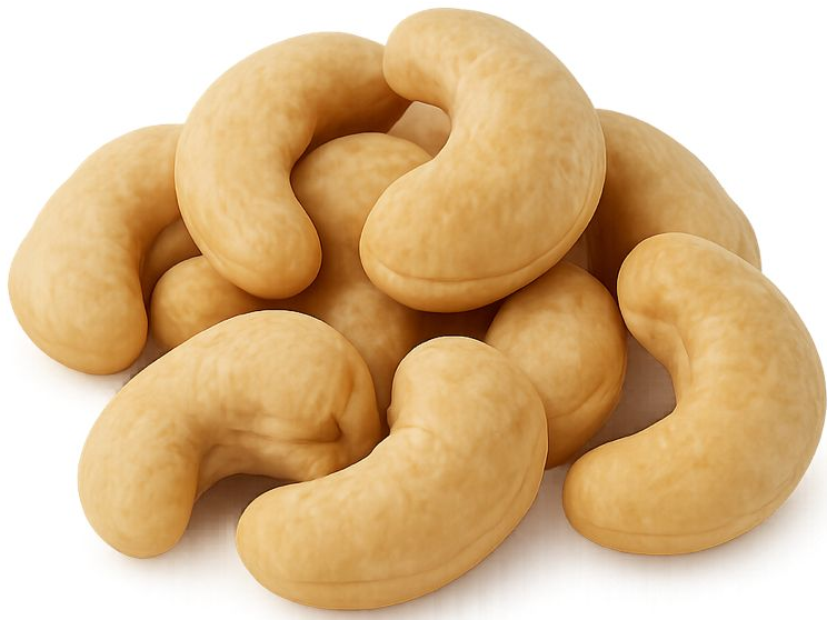 Cashew